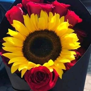 Meet your Posher, Addy